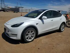 5YJYGDED9MF107024 2021 TESLA MODEL Y