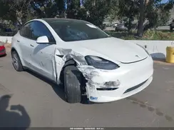 5YJYGDEE0MF181781 2021 TESLA MODEL Y