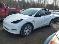 5YJYGDEE0MF194143 2021 TESLA MODEL Y