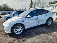 5YJYGDEE0MF199942 2021 TESLA MODEL Y