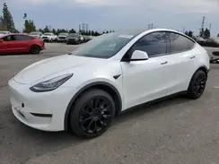5YJYGDEE1LF013033 2020 TESLA MODEL Y