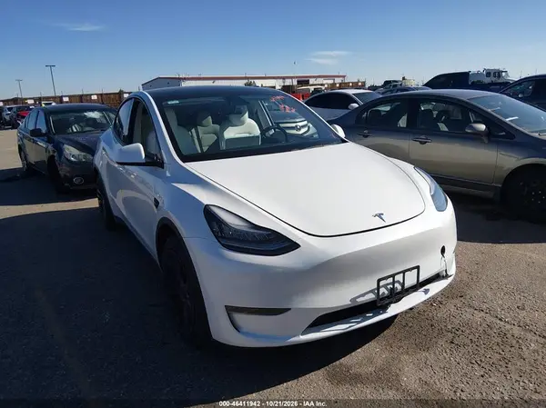5YJYGDEE1LF027577 2020 TESLA MODEL Y - Image 1