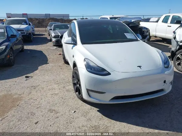 5YJYGDEE1LF044251 2020 TESLA MODEL Y - Image 1