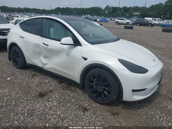 5YJYGDEE1LF046291 2020 TESLA MODEL Y - Image 1
