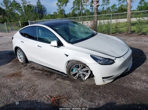 5YJYGDEE1LF053466 2020 TESLA MODEL Y - Image 1