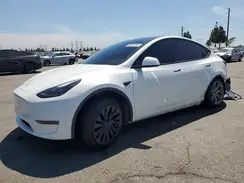 5YJYGDEE1LF056562 2020 TESLA MODEL Y