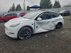 5YJYGDEE1MF078580 2021 TESLA MODEL Y