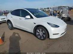 5YJYGDEE1MF094603 2021 TESLA MODEL Y