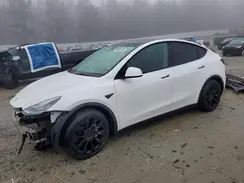 5YJYGDEE1MF108404 2021 TESLA MODEL Y