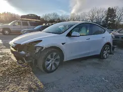 5YJYGDEE1MF137255 2021 TESLA MODEL Y