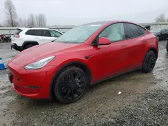 5YJYGDEE1MF151981 2021 TESLA MODEL Y