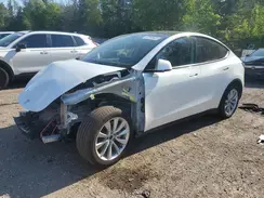 5YJYGDEE1MF175343 2021 TESLA MODEL Y