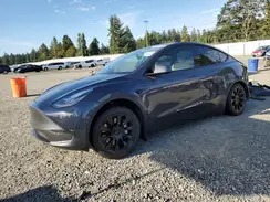5YJYGDEE1MF177321 2021 TESLA MODEL Y