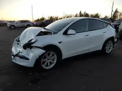 5YJYGDEE1MF187959 2021 TESLA MODEL Y