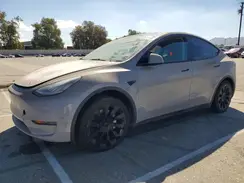5YJYGDEE1MF239767 2021 TESLA MODEL Y