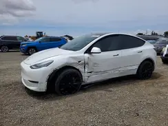 5YJYGDEE1MF262367 2021 TESLA MODEL Y