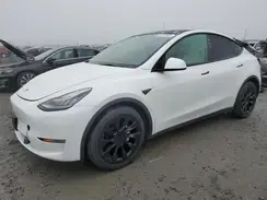 5YJYGDEE1MF267004 2021 TESLA MODEL Y