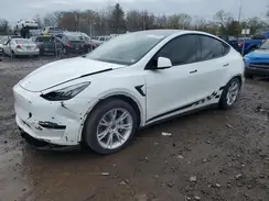 5YJYGDEE2LF019133 2020 TESLA MODEL Y