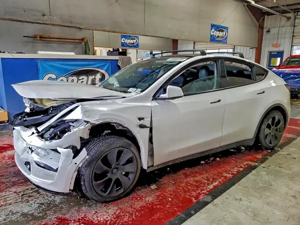 5YJYGDEE2LF044419 2020 TESLA MODEL Y - Image 1