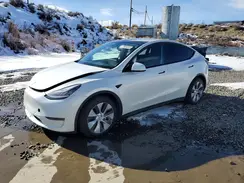 5YJYGDEE2LF051189 2020 TESLA MODEL Y