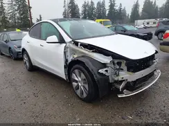 5YJYGDEE2MF091399 2021 TESLA MODEL Y