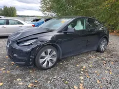5YJYGDEE2MF130847 2021 TESLA MODEL Y