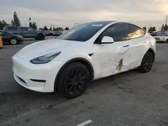 5YJYGDEE2MF159667 2021 TESLA MODEL Y