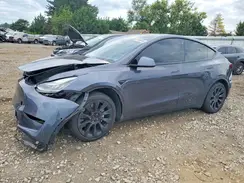 5YJYGDEE2MF173813 2021 TESLA MODEL Y