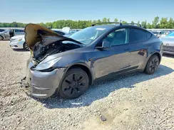 5YJYGDEE2MF198484 2021 TESLA MODEL Y