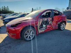 5YJYGDEE2MF206664 2021 TESLA MODEL Y
