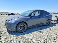 5YJYGDEE2MF213243 2021 TESLA MODEL Y