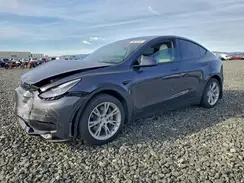 5YJYGDEE2MF257355 2021 TESLA MODEL Y