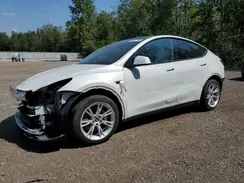 5YJYGDEE2MF286466 2021 TESLA MODEL Y