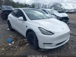 5YJYGDEE3MF087054 2021 TESLA MODEL Y