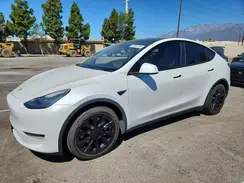 5YJYGDEE3MF098359 2021 TESLA MODEL Y