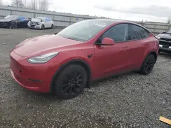 5YJYGDEE3MF118674 2021 TESLA MODEL Y