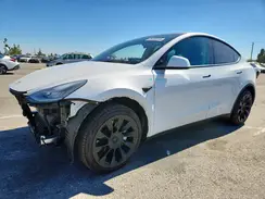 5YJYGDEE3MF244890 2021 TESLA MODEL Y