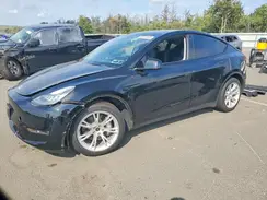 5YJYGDEE3MF259521 2021 TESLA MODEL Y