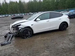 5YJYGDEE3MF286654 2021 TESLA MODEL Y