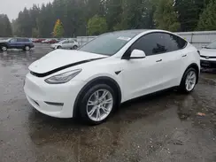 5YJYGDEE3MF300925 2021 TESLA MODEL Y