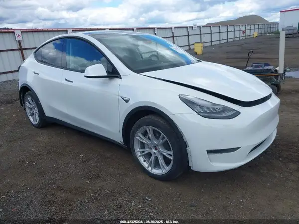 5YJYGDEE4LF016749 2020 TESLA MODEL Y - Image 1