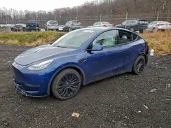 5YJYGDEE4MF085619 2021 TESLA MODEL Y