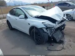 5YJYGDEE4MF095289 2021 TESLA MODEL Y