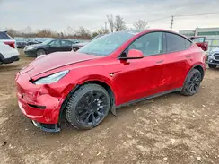 5YJYGDEE4MF123981 2021 TESLA MODEL Y