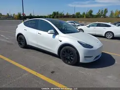 5YJYGDEE4MF141543 2021 TESLA MODEL Y