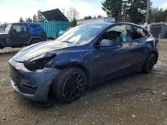 5YJYGDEE4MF144037 2021 TESLA MODEL Y