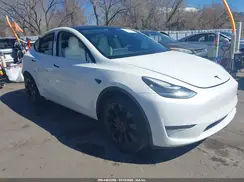 5YJYGDEE4MF151859 2021 TESLA MODEL Y