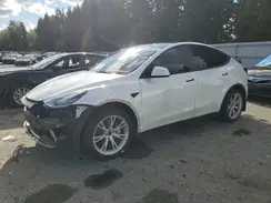 5YJYGDEE4MF160318 2021 TESLA MODEL Y