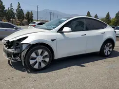 5YJYGDEE4MF160562 2021 TESLA MODEL Y