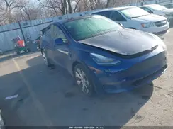 5YJYGDEE4MF161419 2021 TESLA MODEL Y